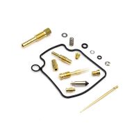 Vergaser Reparatur Satz CAB-DH33