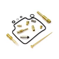 Vergaser Reparatur Satz CAB-DH34