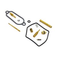 Vergaser Reparatur Satz CAB-DH41