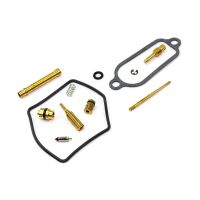 Vergaser Reparatur Satz CAB-DH41