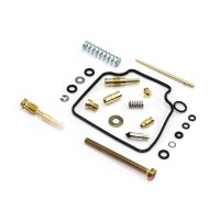 Vergaser Reparatur Satz CAB-DH42