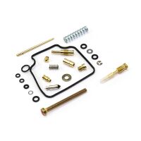 Vergaser Reparatur Satz CAB-DH42