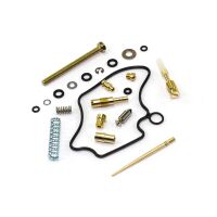 Vergaser Reparatur Satz CAB-DH43