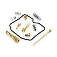 Vergaser Reparatur Satz CAB-DK02