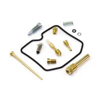 Vergaser Reparatur Satz CAB-DK02