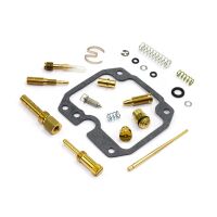 Vergaser Reparatur Satz CAB-DK07
