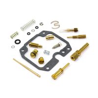 Vergaser Reparatur Satz CAB-DK07