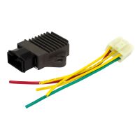 Regler Gleichrichter HN-025 mit Stecker und Kabel