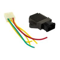 Regler Gleichrichter HN-025 mit Stecker und Kabel