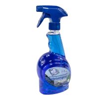 Scheiben Enteiser Spray Premium ROBBYROB 750 ml