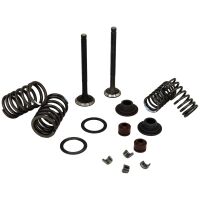 Ventil Satz 69 mm