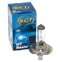 Glühbirne H7 Basic 12V 55W PX26d Halogen SCT Lampe...