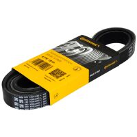 Keilriemen Antriebsriemen Lichtmaschine 6PK1613