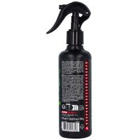 Reiniger Helm M2 Helmet Interior Clean Motul 250 ml